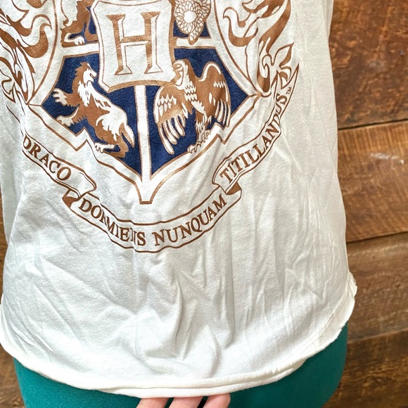 Harry Potter Hogwarts Crest & Motto Raglan T-Shirt - Picture 8 of 10